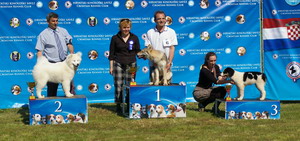 22.05.2010. CACIB Umag