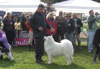 19.09.2010. CAC Koprivnica