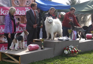 19.09.2010. CAC Koprivnica - JBIS