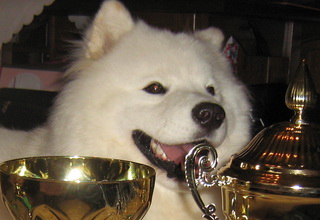 19.09.2010. CAC Koprivnica