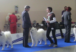 02.10.2010. EUDS Celje