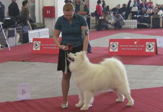 19.09.2010. CAC KOprivnica