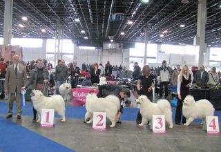 27.11.2010. Club show Budapest