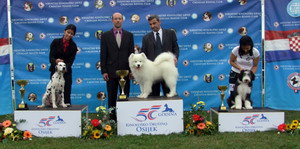 CACIB Osijek 11.09.2010.