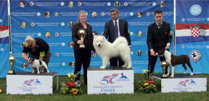 CACIB Osijek 11.09.2010.