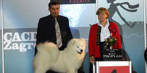 CACIB Zagreb 21.11.2010.