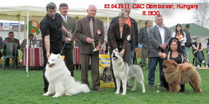 CAC Dombovar 03.04.2011.