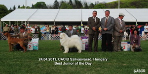 CACIB Szilvasvarad 24.04.2011.