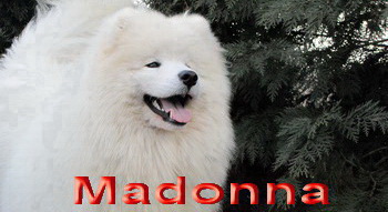 Madonna